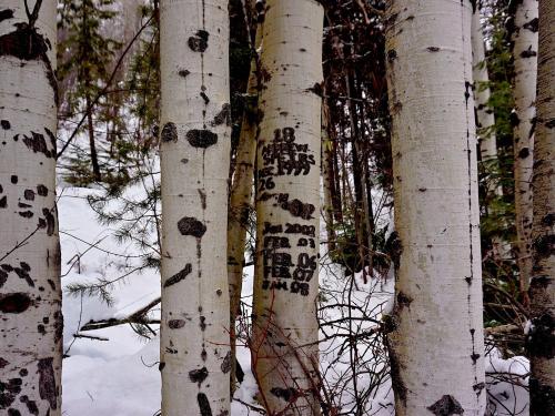 Why you'll want to explore the area on snowshoes