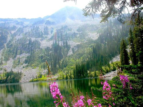 The beauty of Ymir area in Summer