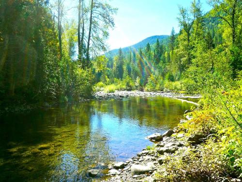 The beauty of Ymir area in Summer