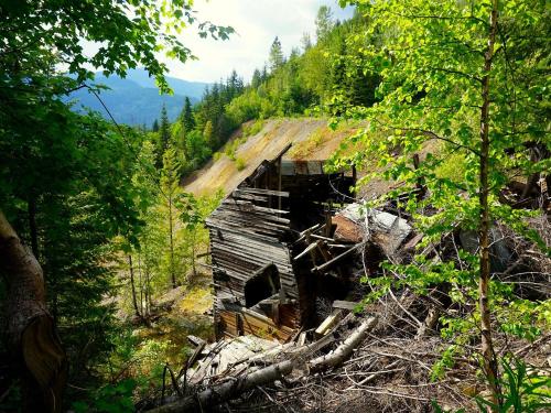 6 Great Things To Do while visiting our Lodge.