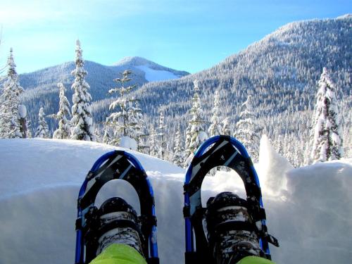 Jan. 4 - How is the Snow?