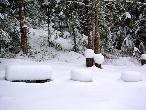 Dec. 21 - 7 photos that show Winter is Officially here