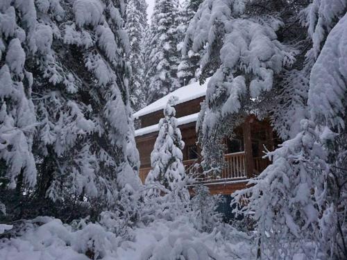 Nov. 17 - The Snow Has Arrived.