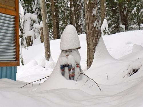 Jan. 5 - 29 cm of Snow Overnight