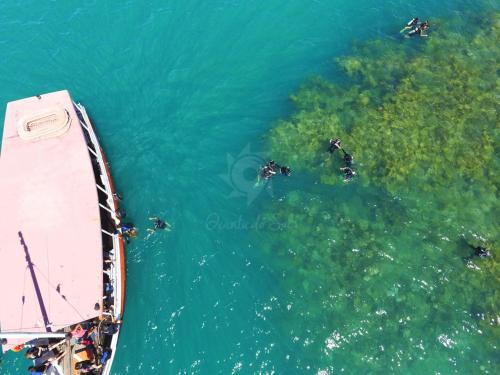Passeio de Quadriciclo em Porto Seguro, Arraial d'Ajuda e Trancoso na Bahia
