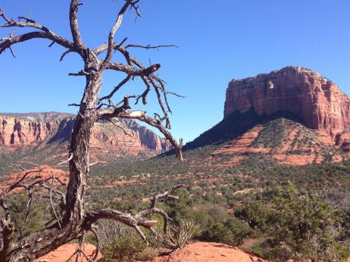 Hiking, Biking, and Trails