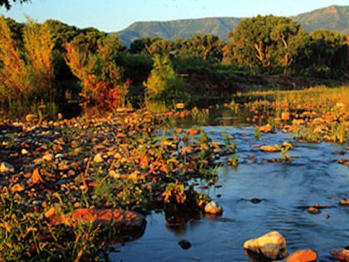 Area State Parks