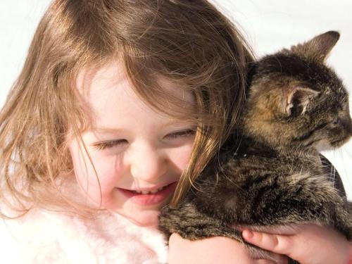 Pets