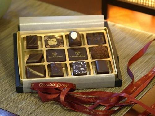 CHOCOLATE SPRINGS