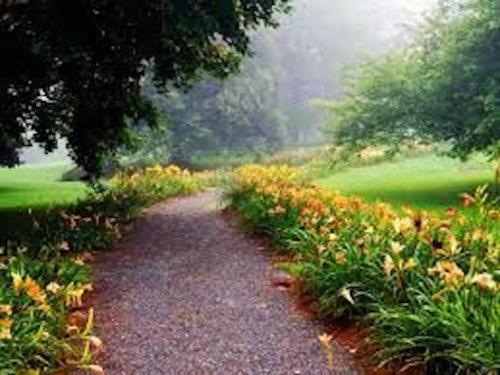 Spring in the Berkshires