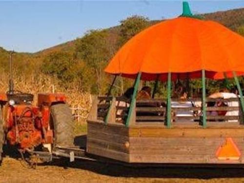 Ioka Valley Farm - Fall Fun in The Berkshires