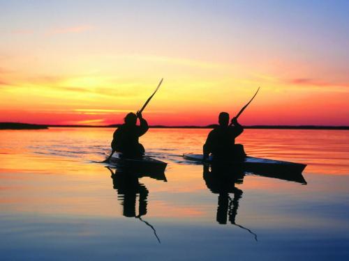 Kayak Rentals