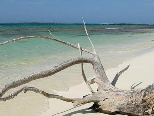 Los Roques