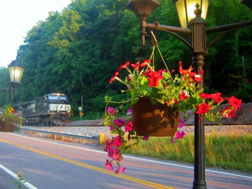 All Aboard!