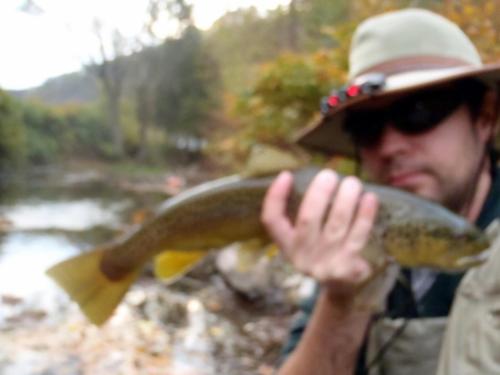 Fishing & Hunting in McDowell County!