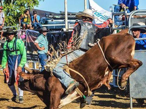 Halls Creek Events