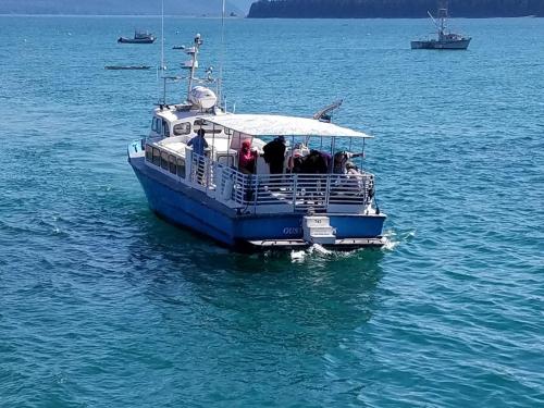 Fishing & Marine Adventures