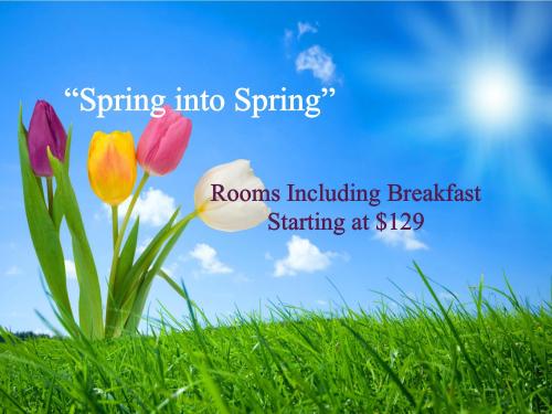 Spring Packages