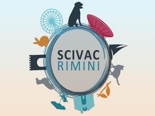 Scivac 2018