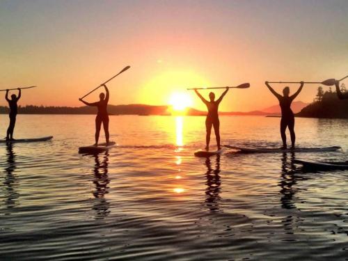 Lakeshore Water Sports, Equipment Rentals