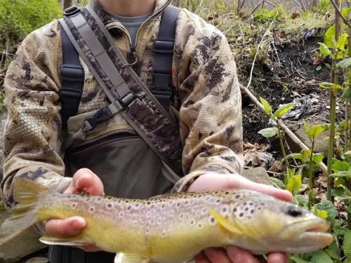 Fishing & Hunting in McDowell County!