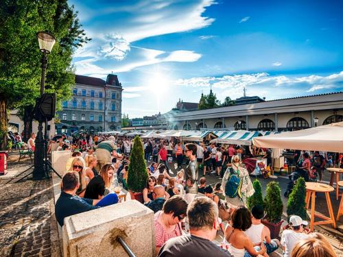 Discover Ljubljana