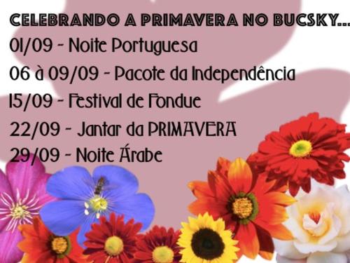 Programação