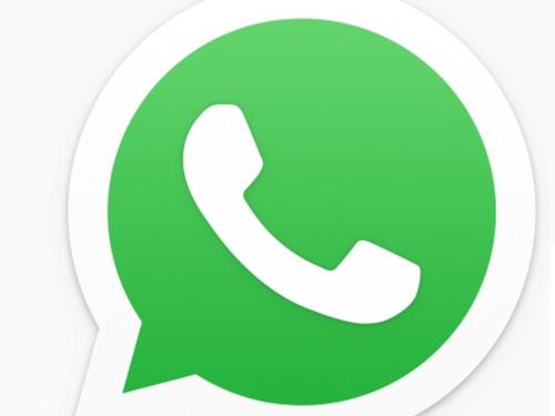 52963461